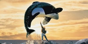 free-willy-1993.jpg