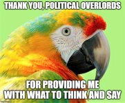 parrot.jpg