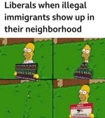 homer immigrants.jpg