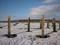 Posts_on_the_saltmarsh,_Warton_Sands_-_geograph.org.uk_-_1658558.jpg