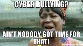 Cyber-bullying-Ain39t-nobody-got-time-for-that-meme-33430.jpg