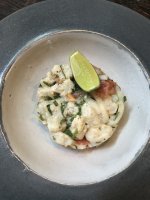 ceviche Havana.jpeg