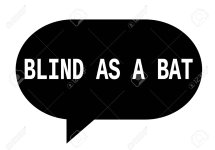 89211239-blind-as-a-bat-text-in-black-speech-bubble-simple-sign-with-rounded-corners.jpg