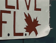 cfl-long-live-our-cfl.gif