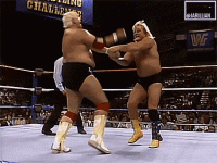 greg-valentine-jonathan-anthony-wisniski.gif