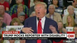 Trump-mocks disabled reporter.jpg