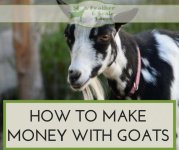 goat-money-FB.jpg