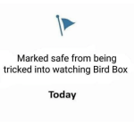 bird box.png