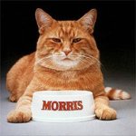 catmorrisfamouscats.jpg