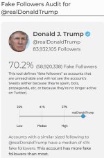 Fake pres and fake followers.jpg