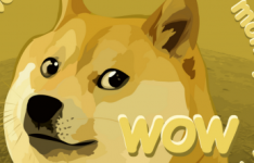 doge.png