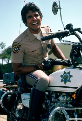 Ponch-chips-20034334-340-500.jpg