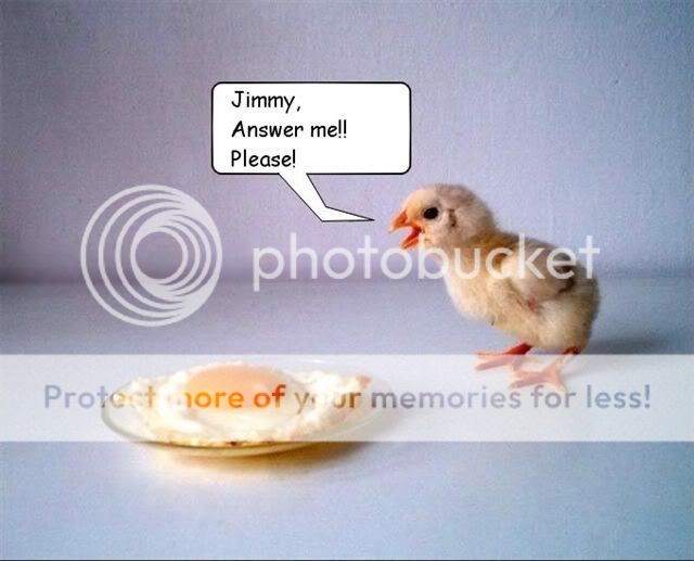 chick.jpg