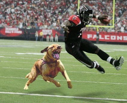 michael-vick.jpg