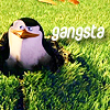 avatars-penguin-255158.png