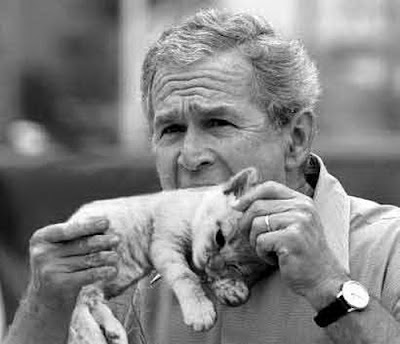 George+W+Bush+Eating+Cat.jpg