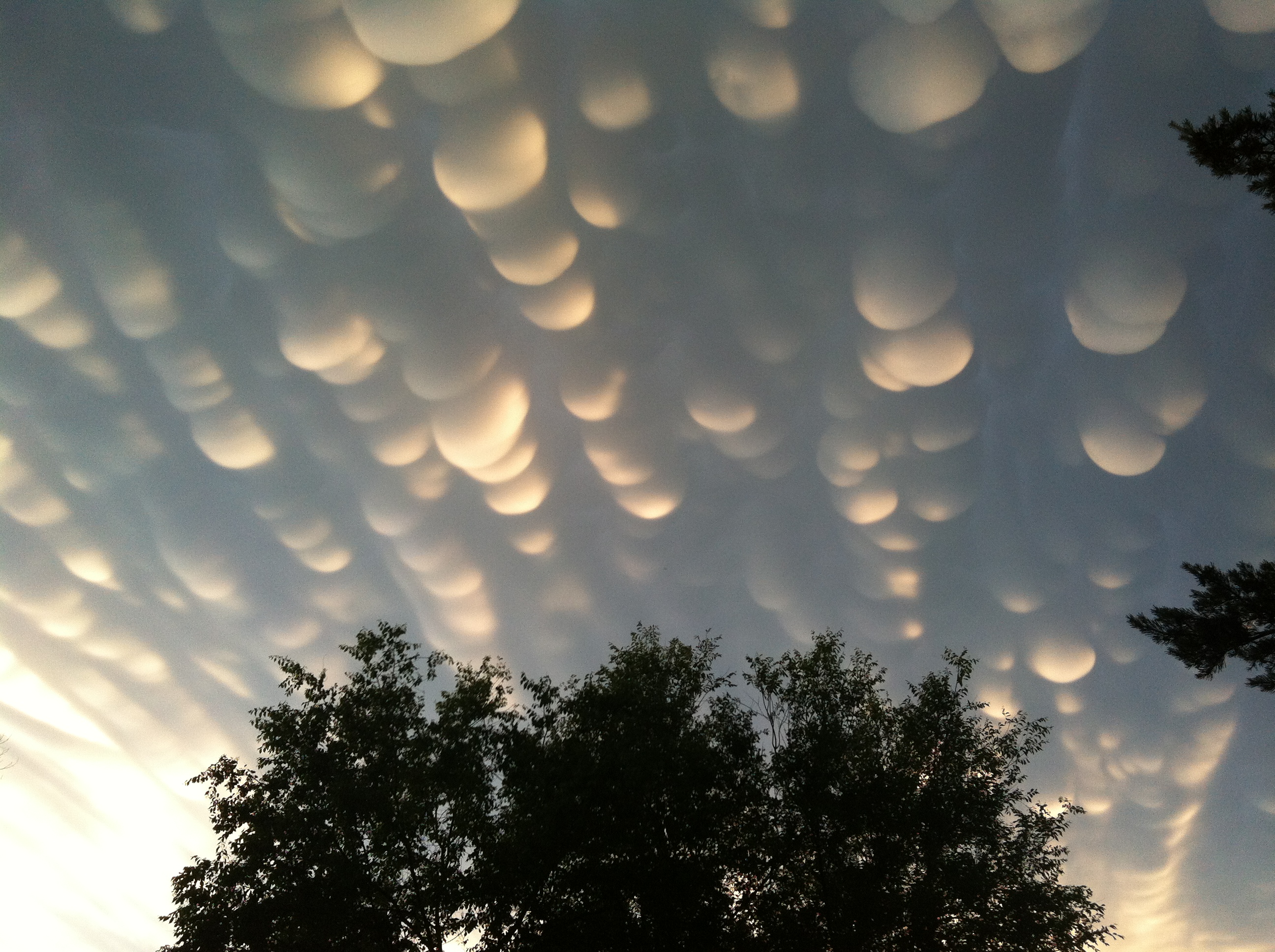 Mammatus_clouds_regina_sk_june_2012.JPG