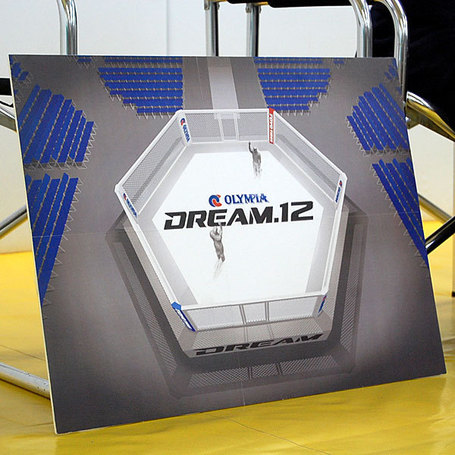 dream12cage_medium.jpg