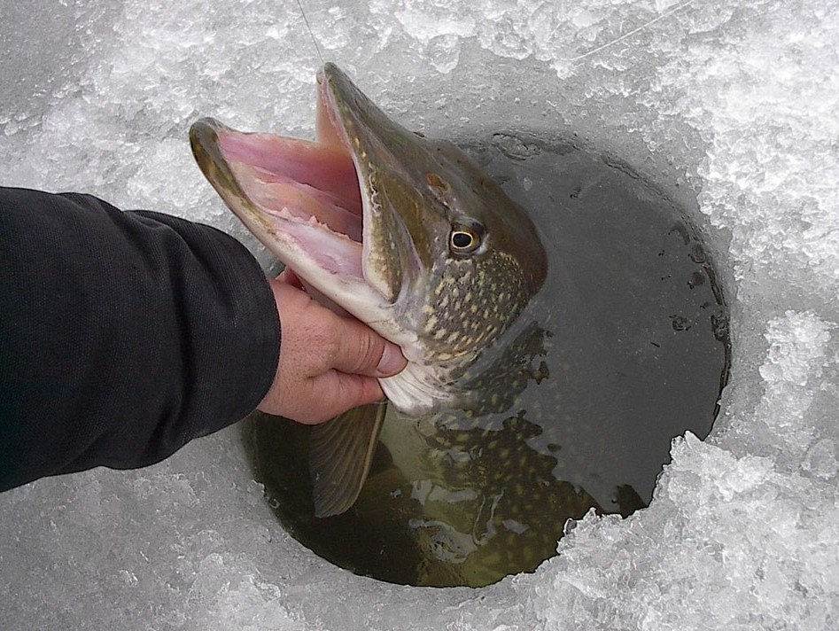 2012112916196_Ice_fishing_1_27_24_947_712.jpg