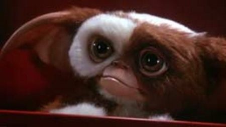 gizmo.jpg