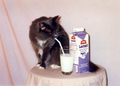 drinkmilk.jpg