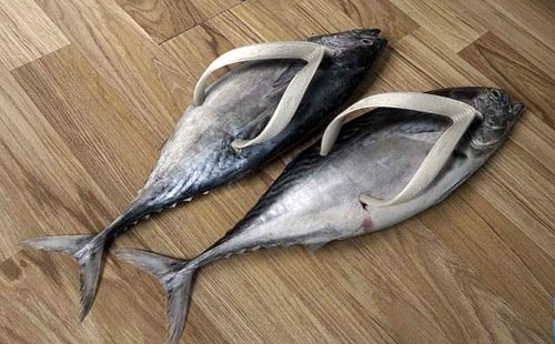 fishy-sandals.jpg