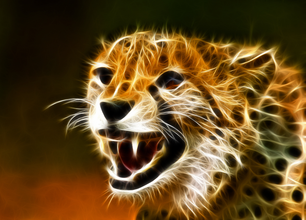 fractal-cheetah.jpg