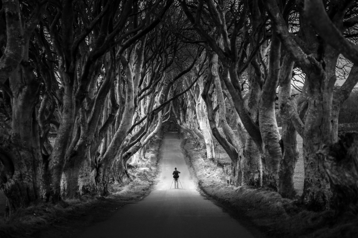 dark-hedges-of-northern-ireland-bregagh-road.jpg