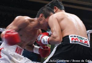 mayol-sosa.headbutt.300w.jpg