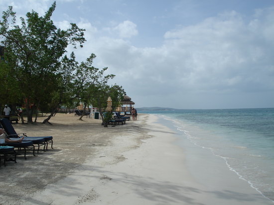 dutch-beach-looking-one.jpg