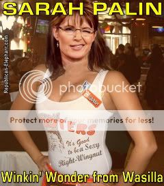 sarah-palin-winking-1.jpg