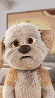 I Am Shocked Oh No GIF I Am Shocked Oh No GIF