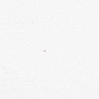 red white and blue wow GIF by Bomb Pop red white and blue wow GIF by Bomb Pop